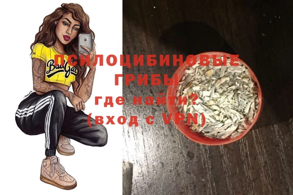 гидра Балахна
