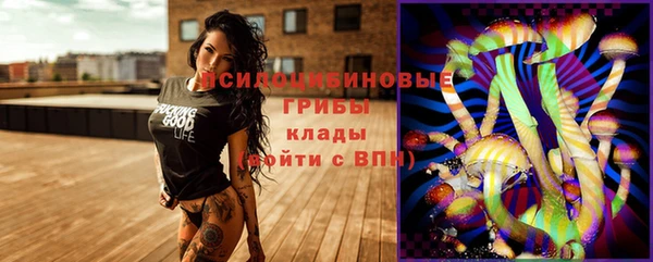стаф Баксан