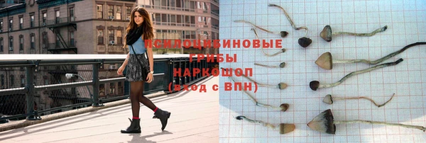 гидра Балахна