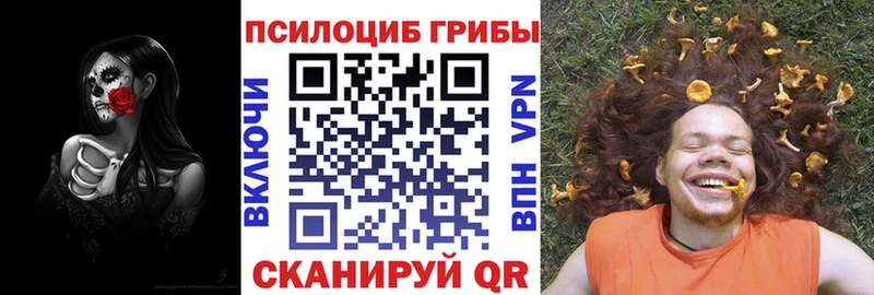 Псилоцибиновые грибы Psilocybine cubensis Любим
